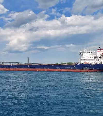 Pine Grove Park - Port Huron,