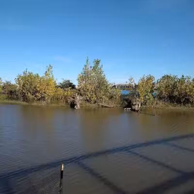 Wetlands County Park - Port Huron,