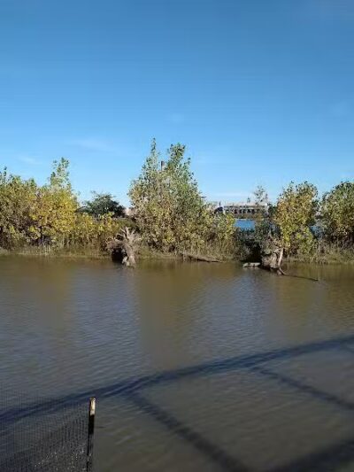 Wetlands County Park - Port Huron,
