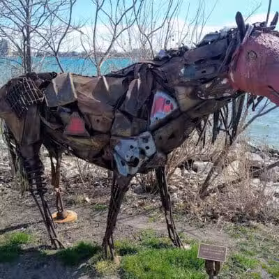 Wetlands County Park - Port Huron,