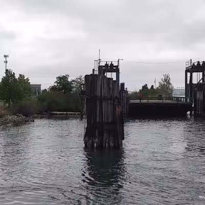 Wetlands County Park - Port Huron,