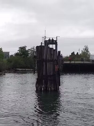 Wetlands County Park - Port Huron,