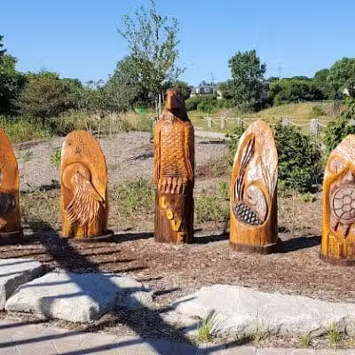 Wetlands County Park - Port Huron,