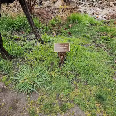 Wetlands County Park - Port Huron,