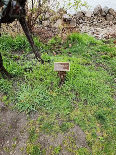 Wetlands County Park - Port Huron,