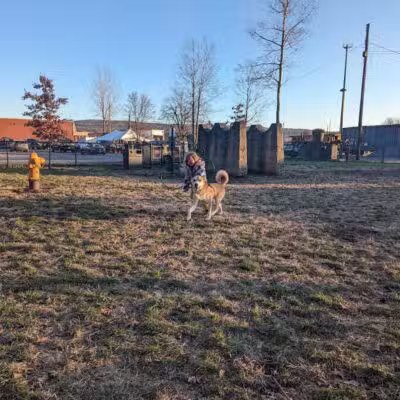 Port Jervis Dog Yard - Port Jervis,
