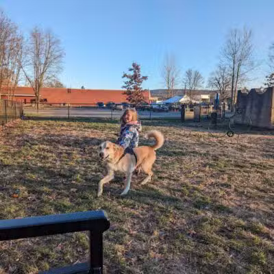 Port Jervis Dog Yard - Port Jervis,