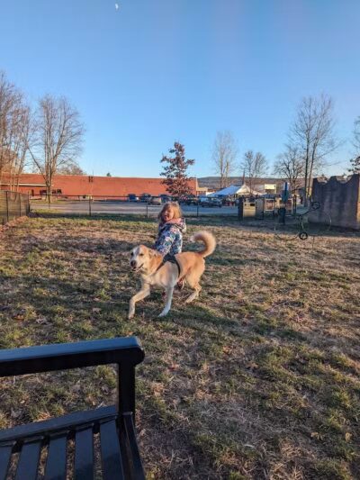 Port Jervis Dog Yard - Port Jervis,