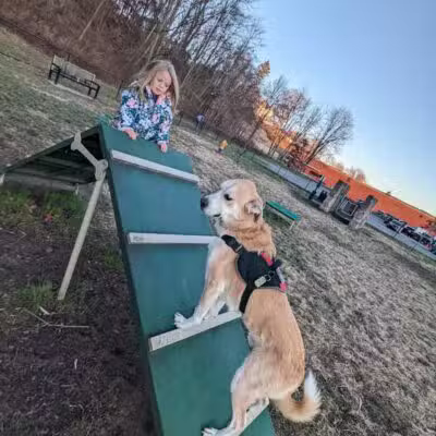 Port Jervis Dog Yard - Port Jervis,