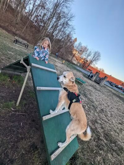 Port Jervis Dog Yard - Port Jervis,