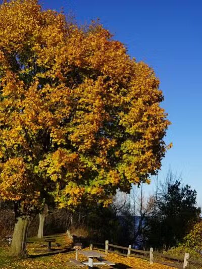 Lake Huron Roadside Park - Port Sanilac,