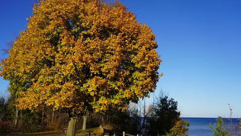 Lake Huron Roadside Park - Port Sanilac,
