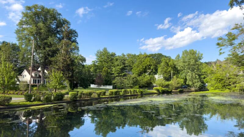 Baxter Pond Park - Port Washington, NY