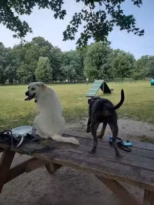 Woodland Dog Park - Portage, IN