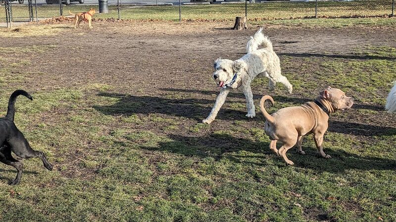 Woodland Dog Park - Portage, IN