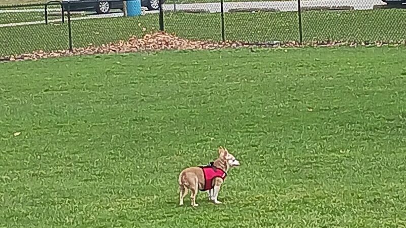 Woodland Dog Park - Portage, IN