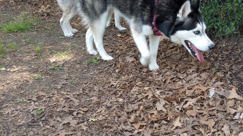 Woodland Dog Park - Portage, IN