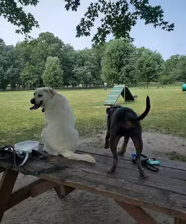 Woodland Dog Park - Portage, IN