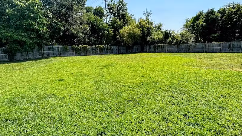 Lincoln Dog Park - Portage,