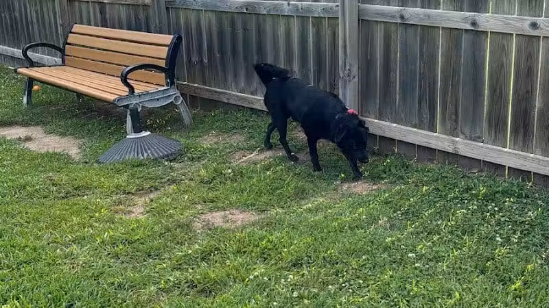 Lincoln Dog Park - Portage,