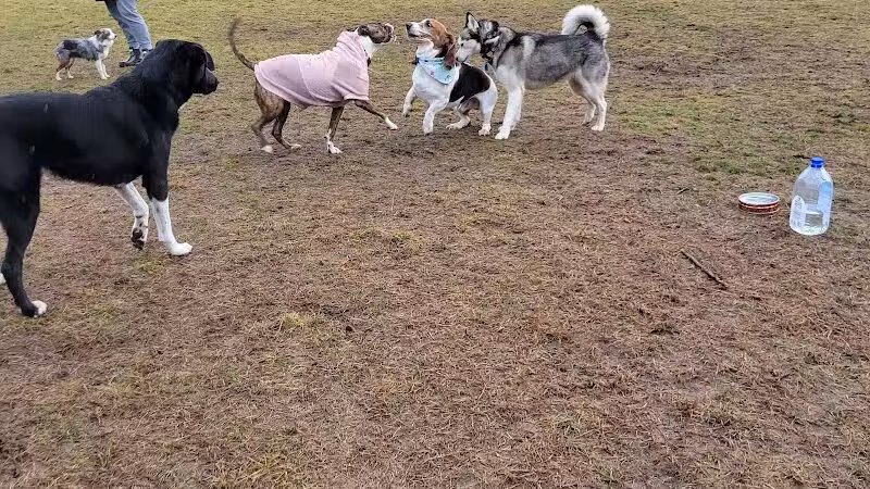 South Westnedge Dog Park - Portage, MI