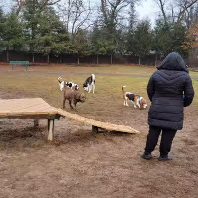 South Westnedge Dog Park - Portage, MI