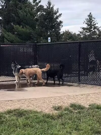 South Westnedge Dog Park - Portage, MI