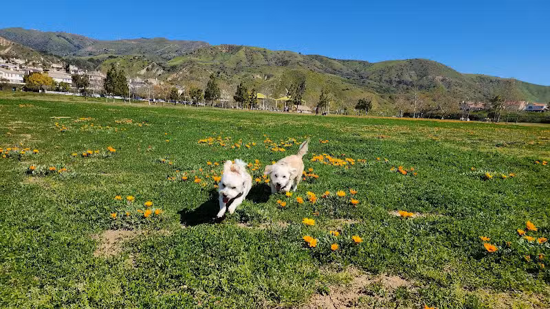 Porter Ranch Park - Porter Ranch, CA