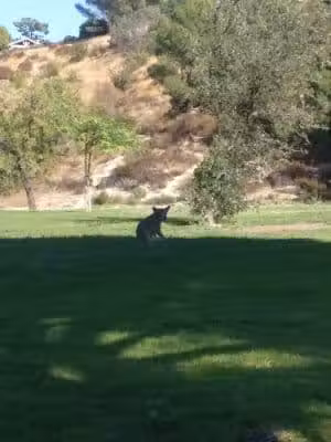 Viking Park - Porter Ranch, CA