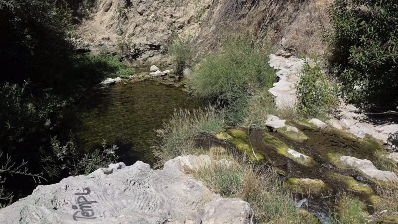 Limekiln Canyon Park - Porter Ranch, CA