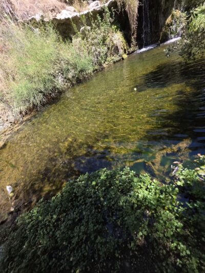 Limekiln Canyon Park - Porter Ranch, CA