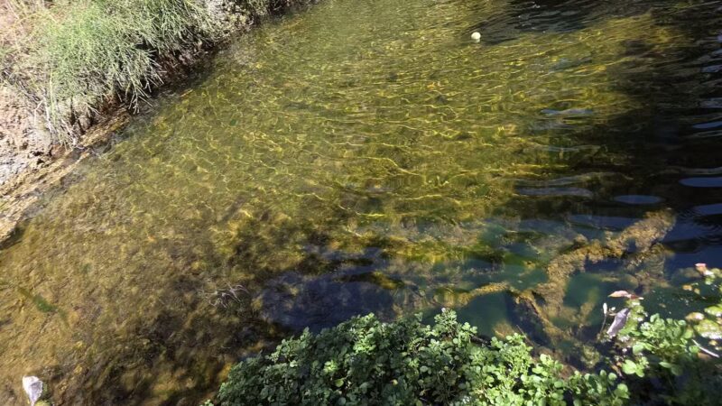 Limekiln Canyon Park - Porter Ranch, CA