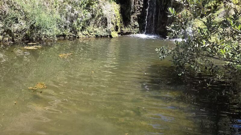 Limekiln Canyon Park - Porter Ranch, CA