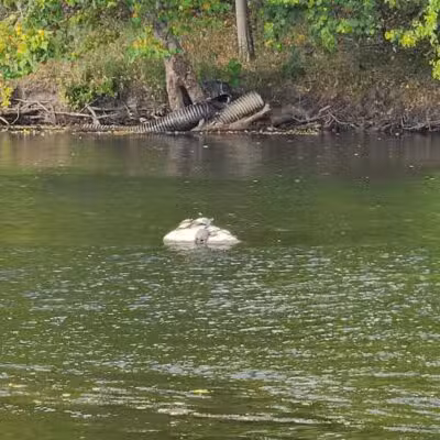 Bogue Flats Recreation Area - Portland,