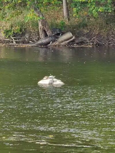 Bogue Flats Recreation Area - Portland,