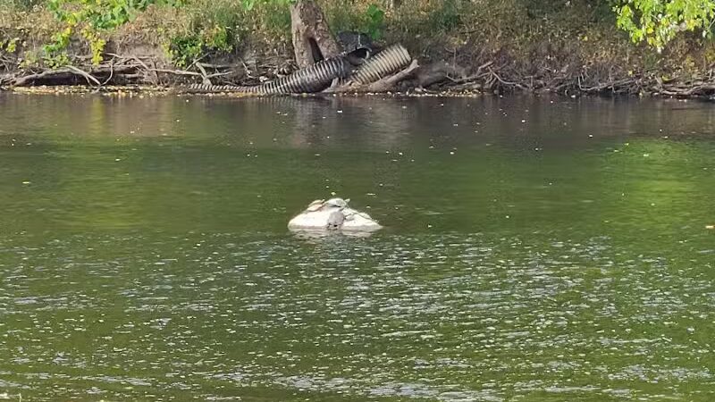 Bogue Flats Recreation Area - Portland,