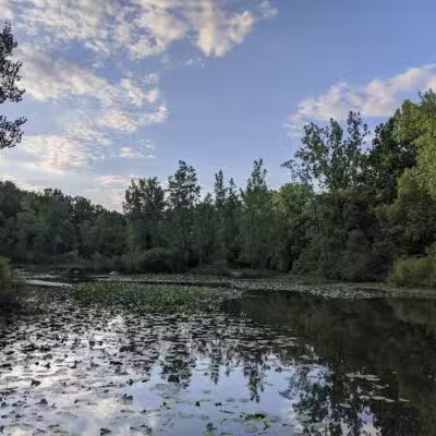 Bogue Flats Recreation Area - Portland,