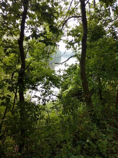 Bogue Flats Recreation Area - Portland,