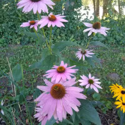 Bogue Flats Recreation Area - Portland,