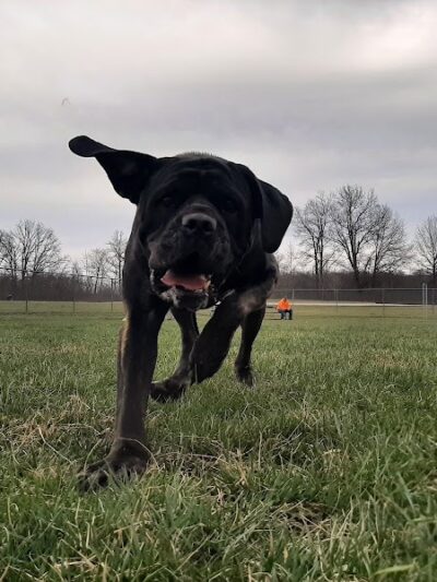 Portland Dog Park - Portland, IN