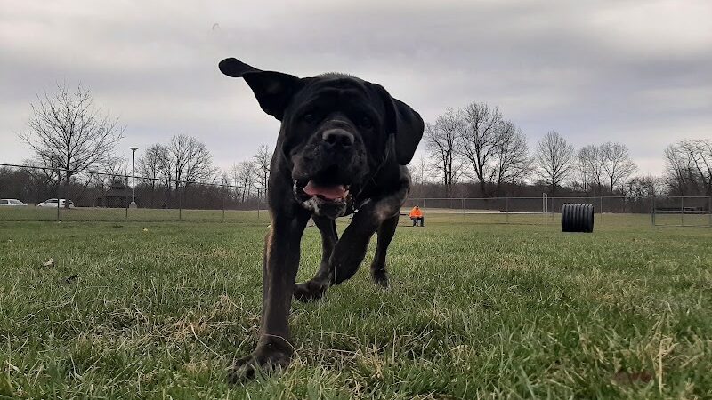 Portland Dog Park - Portland, IN