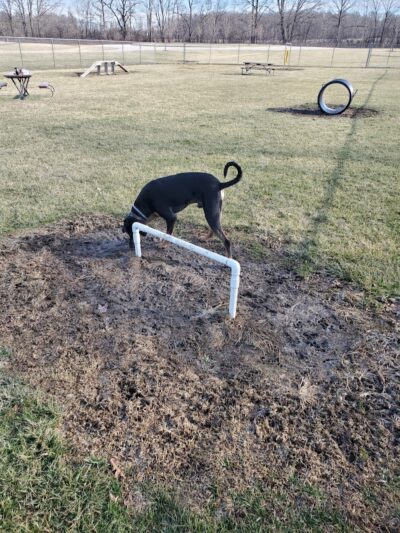 Portland Dog Park - Portland, IN