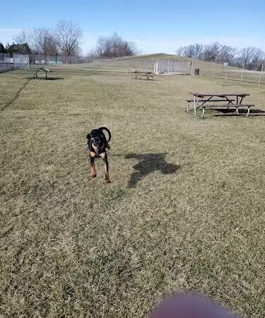 Portland Dog Park - Portland, IN