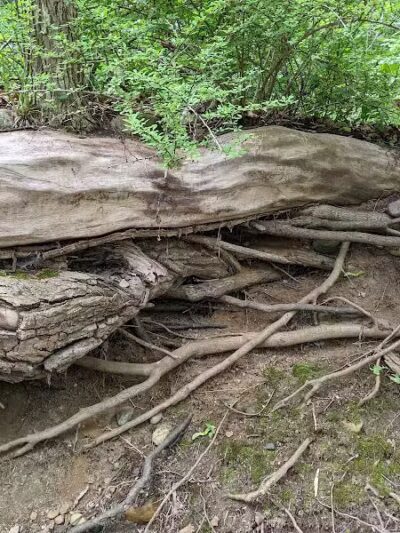 Portland Riverwalk Access - Portland,