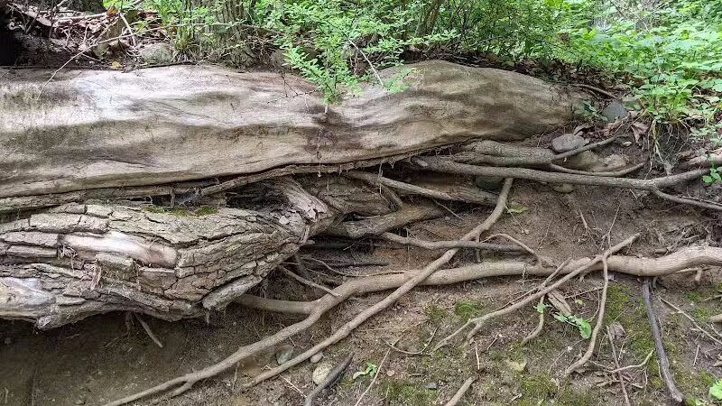 Portland Riverwalk Access - Portland,