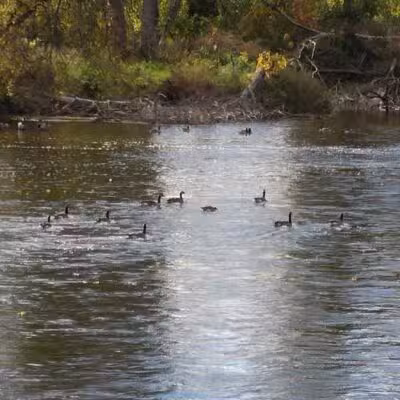 Powers Park - Portland,