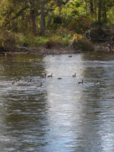 Powers Park - Portland,