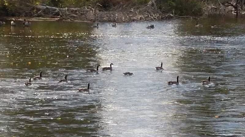 Powers Park - Portland,