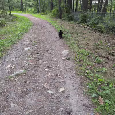 Quarry Run Dog Park - Portland, ME