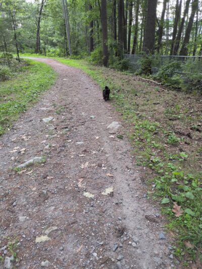 Quarry Run Dog Park - Portland, ME